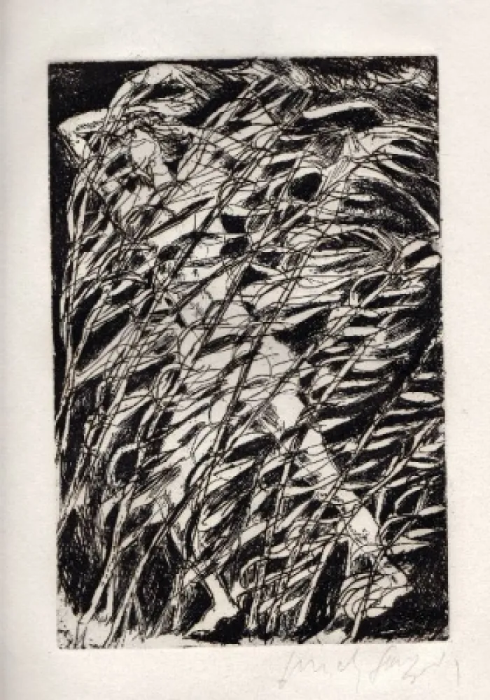 Livre Illustré Fazzini - Inni