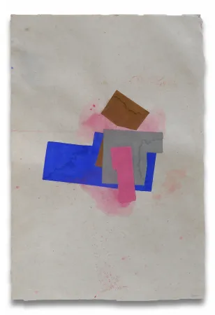 Aucune Technique Feinberg - P2.14