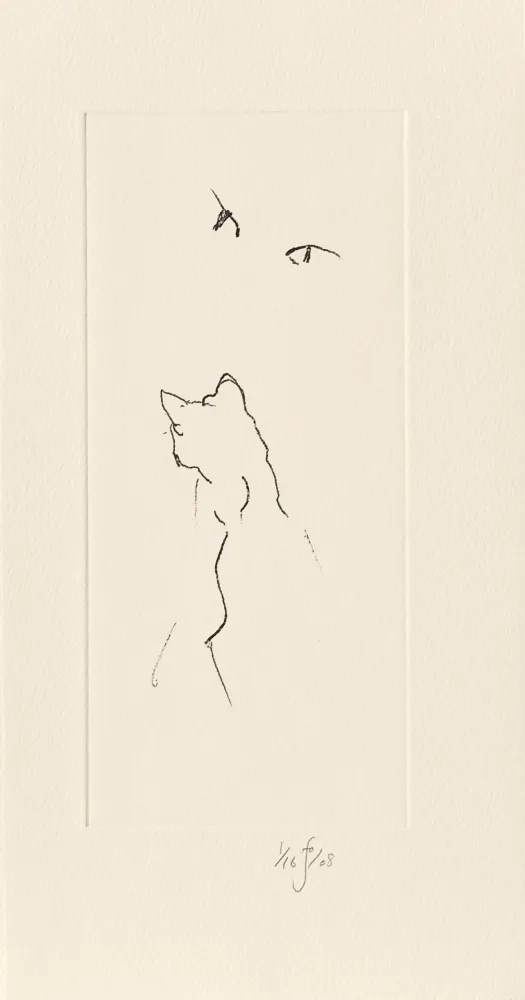 Gravure Flanagan - Panda