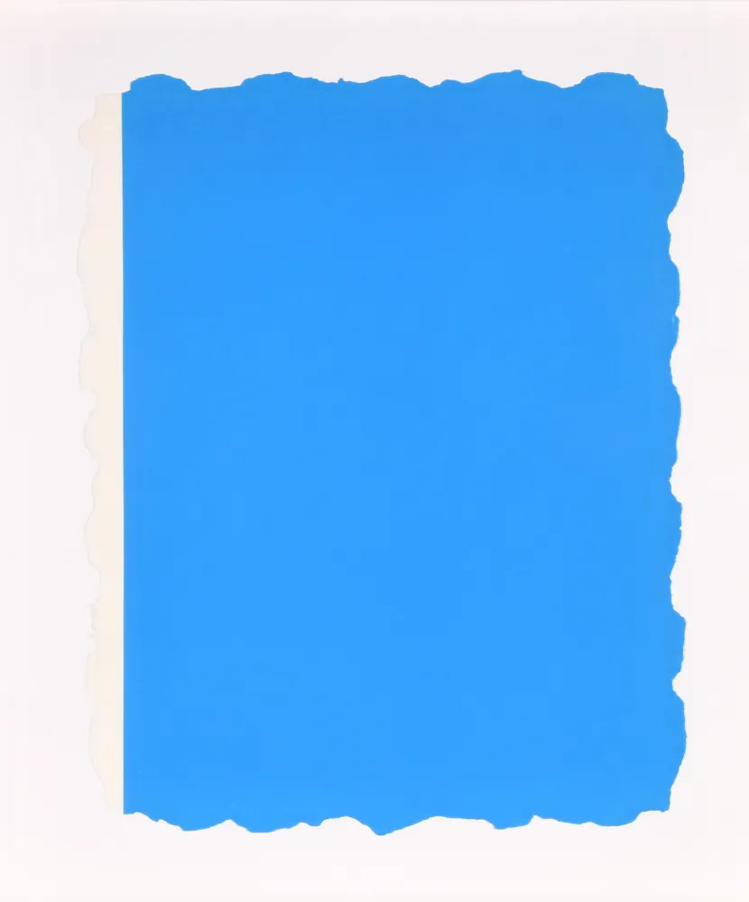 Aquatinte Flavin - Untitled, from Sequences - Blue