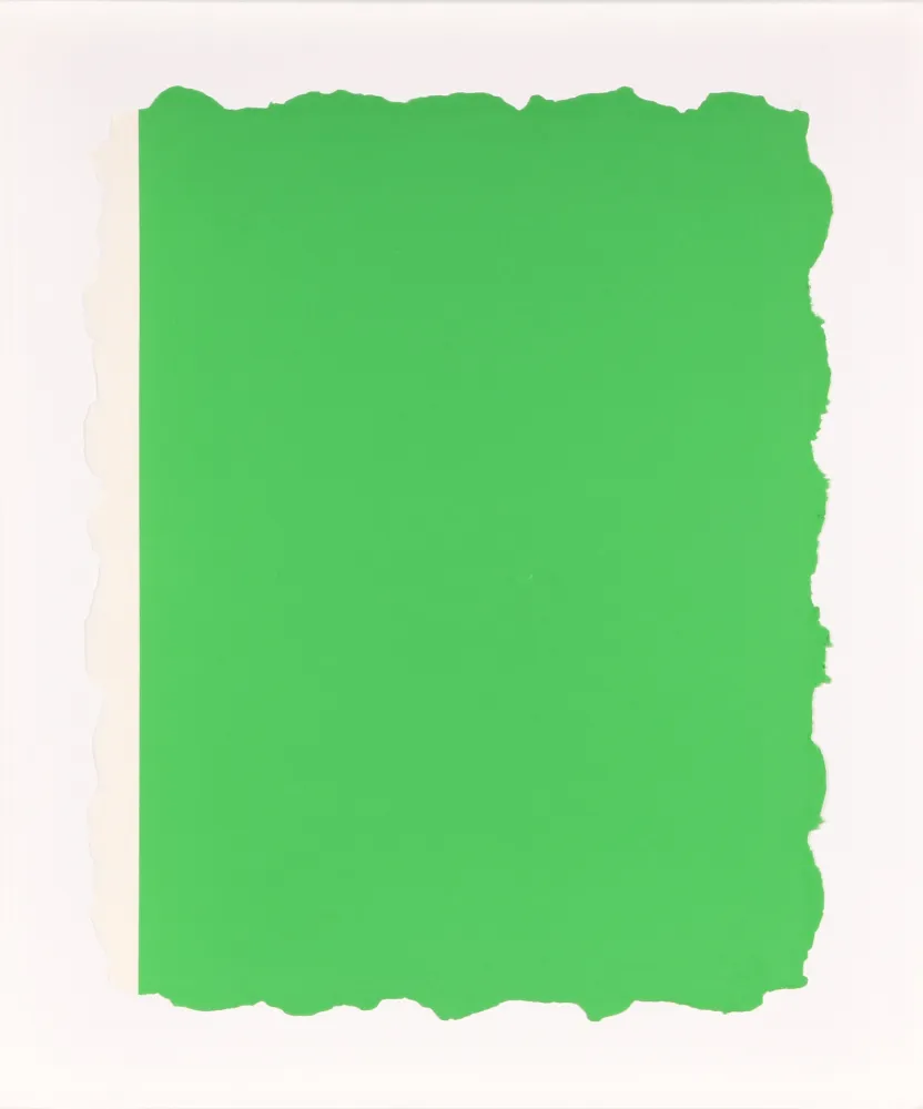 Aquatinte Flavin - Untitled, from Sequences - Green