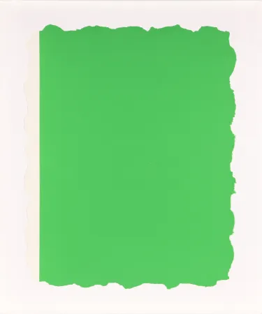 Aquatinte Flavin - Untitled, from Sequences - Green