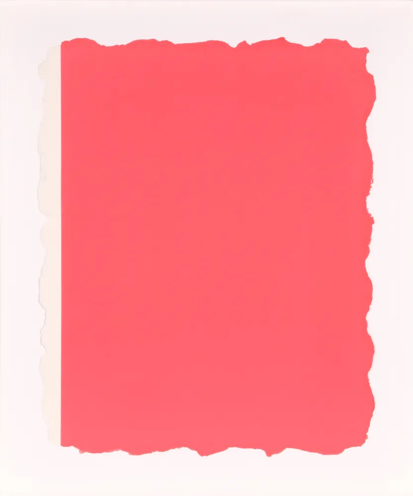 Aquatinte Flavin - Untitled, from Sequences - Pink