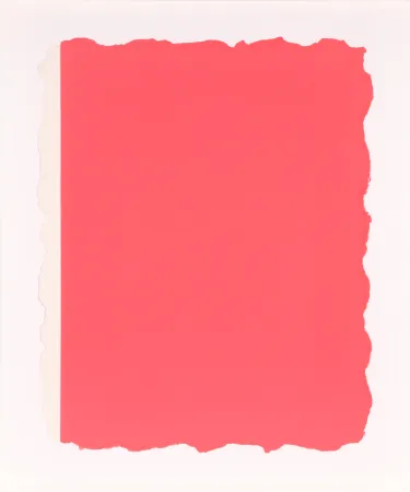 Aquatinte Flavin - Untitled, from Sequences - Pink
