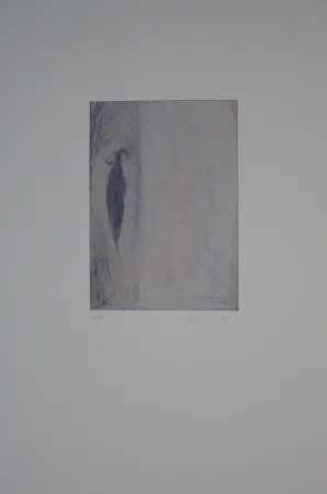 Gravure Fleischmann - Brunnenhell