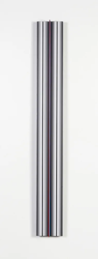 Multiple Flores - Prochromatique yc1