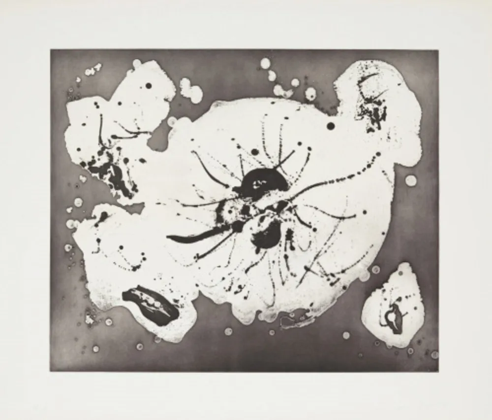 Eau-Forte Et Aquatinte Francis - Island Plate