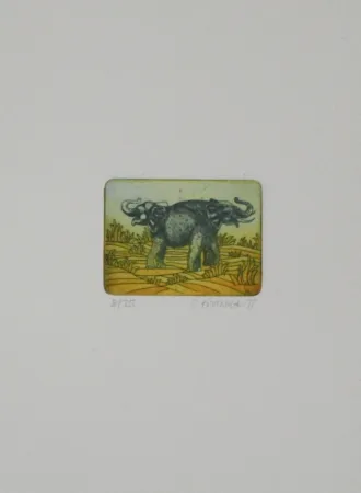 Eau-Forte Et Aquatinte Franke - Elefanten