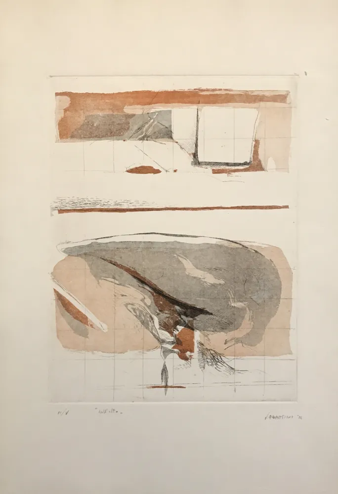 Eau-Forte Et Aquatinte Frattini - Dall'alto