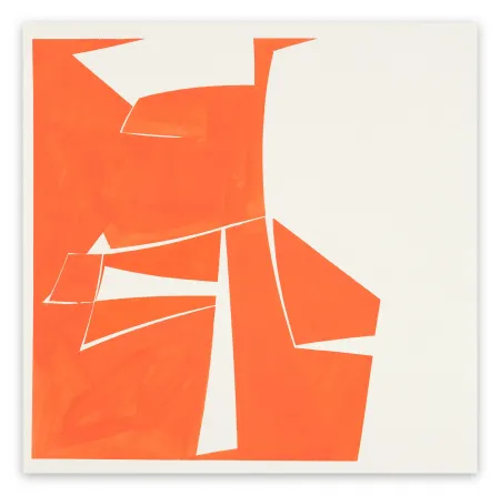 Aucune Technique Freeman - Covers 20 Red