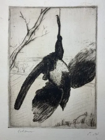 Eau-Forte Frélaut - La pie morte