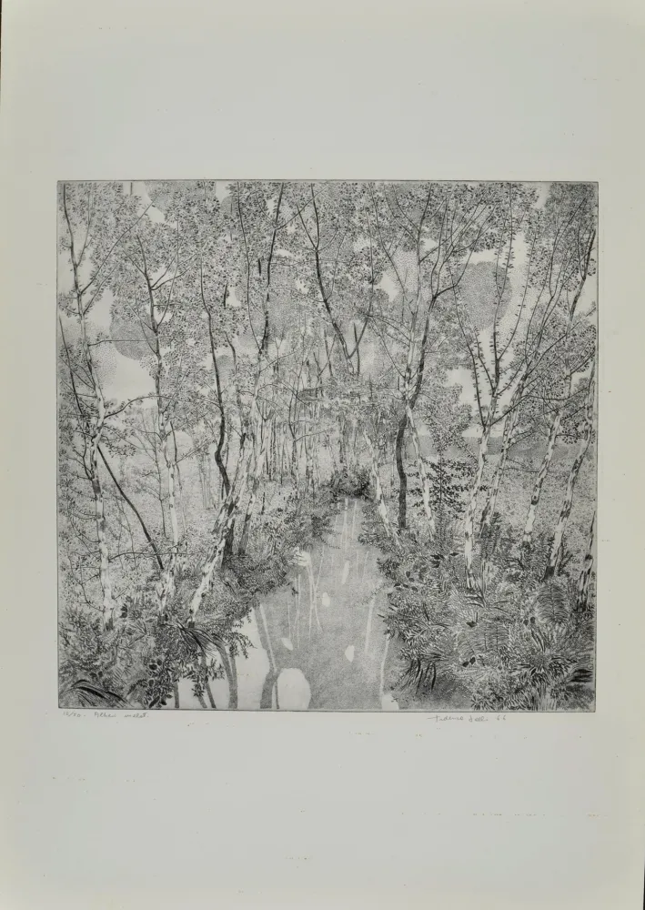 Eau-Forte Galli - Alberi malati