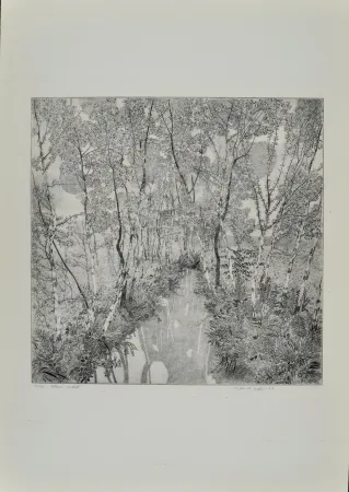 Eau-Forte Galli - Alberi malati