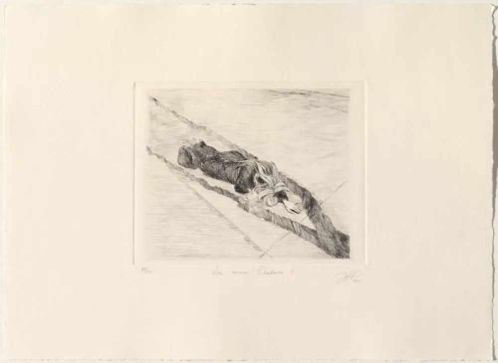 Pointe-Sèche Gamarra - Los nuevos Oradores I