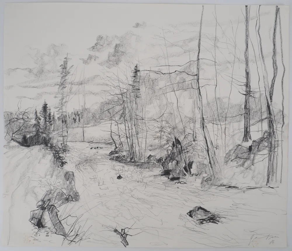 Aucune Technique Gantner - Torrent dans les Vosges