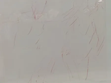 Lithographie Garache - 2 personates v