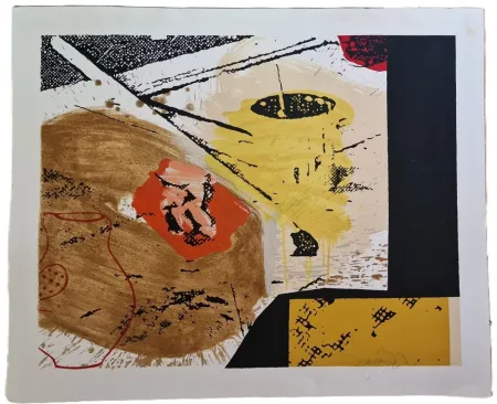 Sérigraphie Gaudaire-Thor - Senza titolo