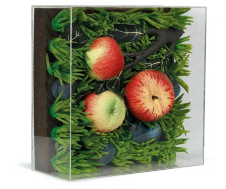 Multiple Gilardi - Mele cadute