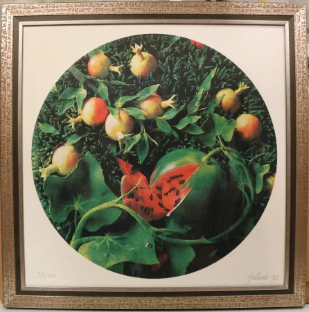 Sérigraphie Gilardi - Senza titolo