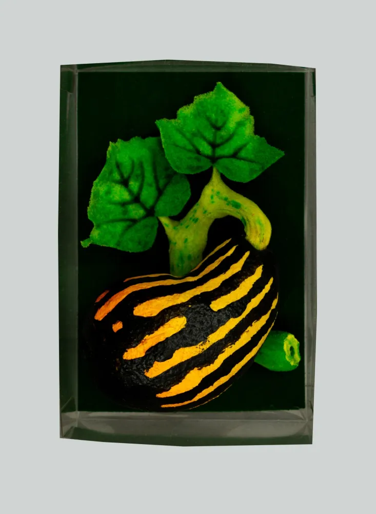 Multiple Gilardi - Zucchetta