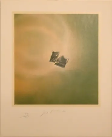 Lithographie Goode - Six Lithographs (torn photo on green background)