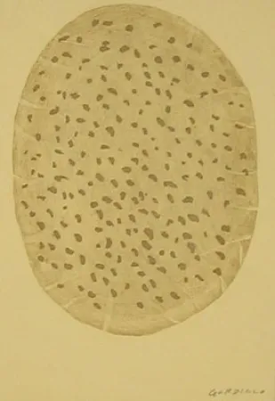 Eau-Forte Gordillo - S/T
