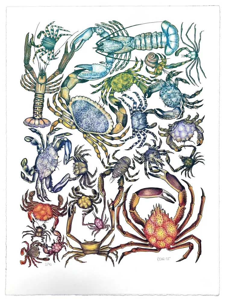 Lithographie Gosset - Prise de Pince 