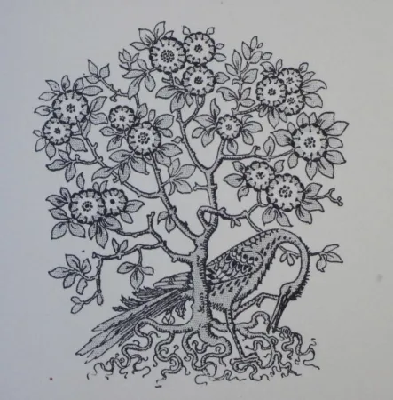 Gravure Sur Bois Grasset - Ornements typographiques