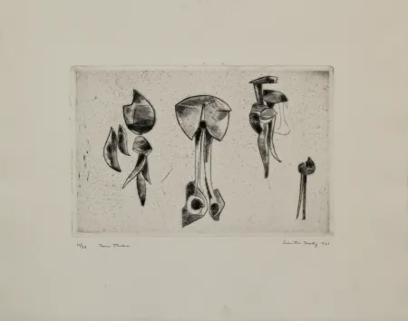 Gravure Hadzi - Form Studies