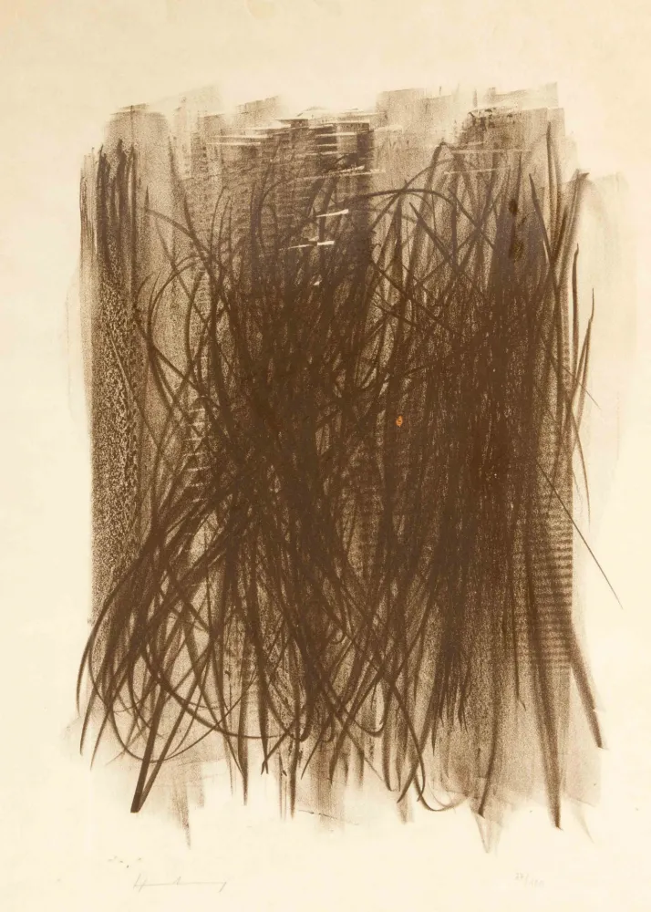 Aucune Technique Hartung - L92