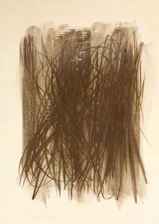 Aucune Technique Hartung - L92