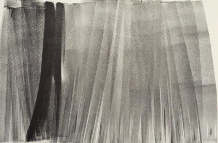 Lithographie Hartung - Lithographie originale. Signée. 