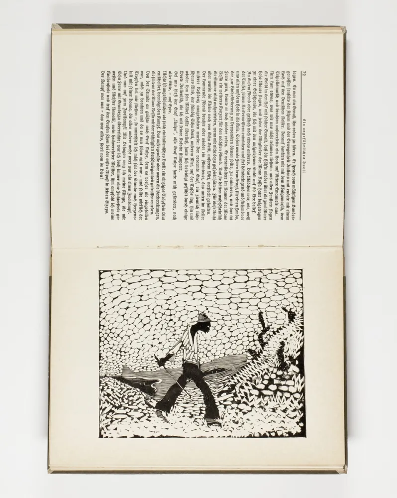 Livre Illustré Hasemann - Himmel und Hölle auf der Landstraße