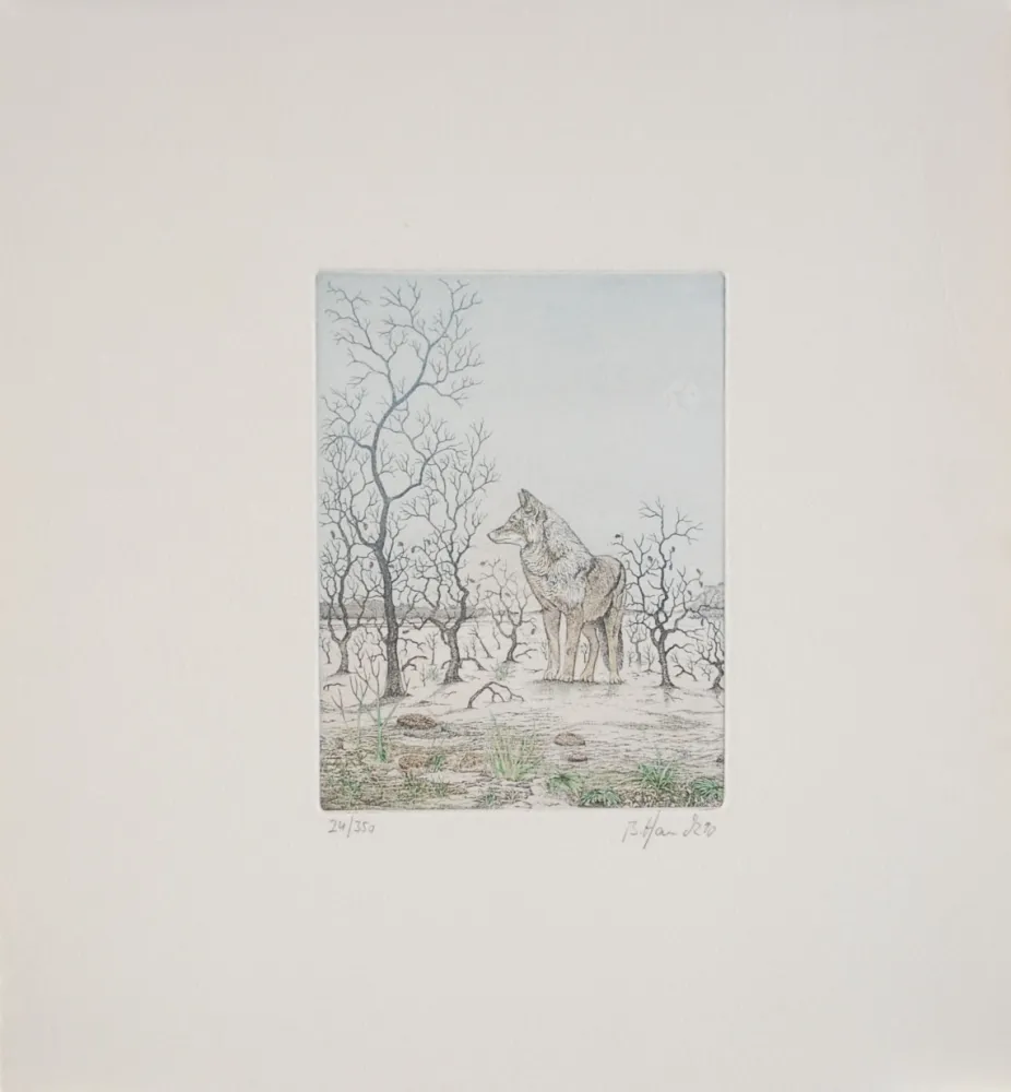 Eau-Forte Hauck - Loup - Wolf