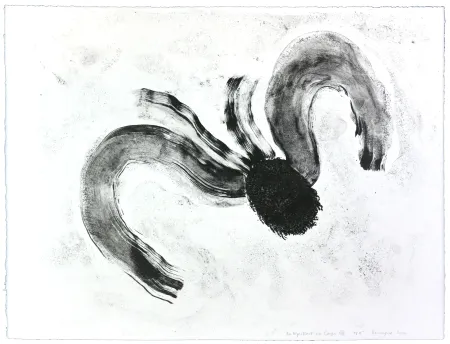 Lithographie Henin - Auportrait en carpe XII