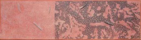 Eau-Forte Et Aquatinte Herman - L' origine des origines