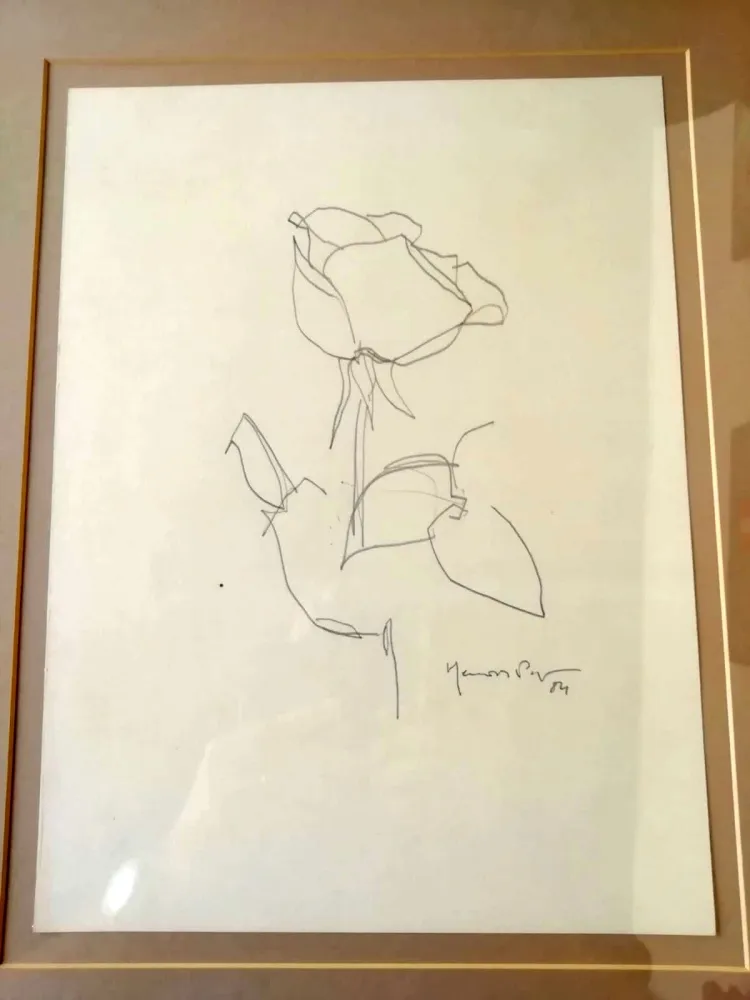 Aucune Technique Hernandez Pijuan - La Rosa - 3