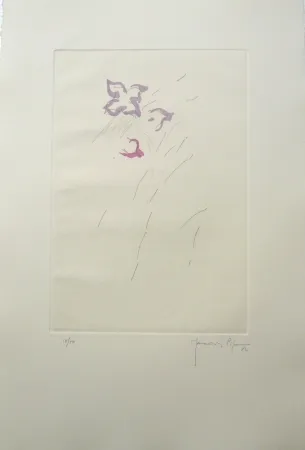 Gravure Hernandez Pijuan - PL4