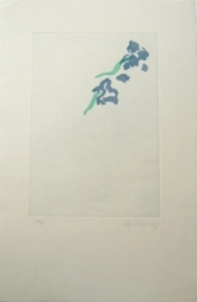 Gravure Hernandez Pijuan - PL5