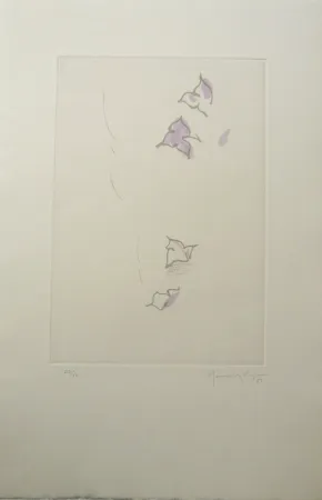 Gravure Hernandez Pijuan - PL6