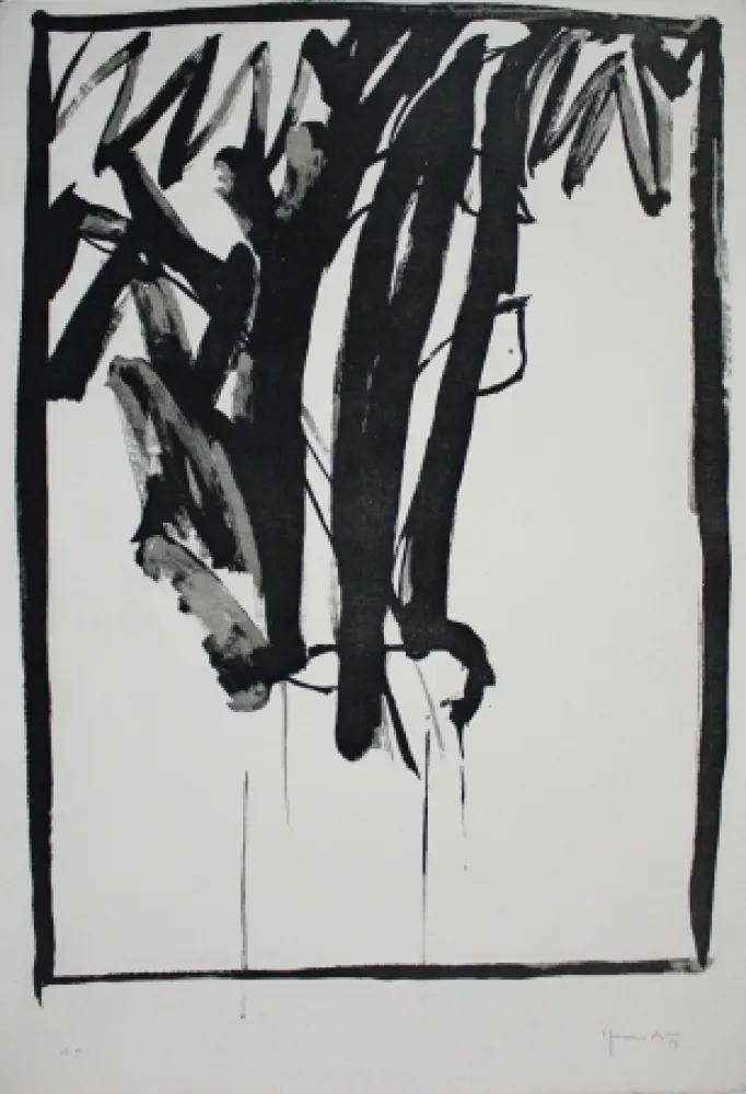 Aquatinte Hernandez Pijuan - Planta de saló 2