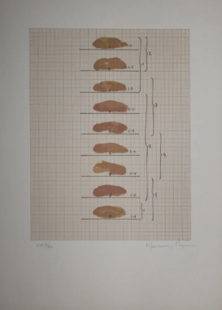 Lithographie Hernandez Pijuan - Redfern