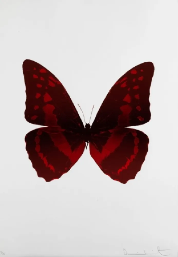 Aucune Technique Hirst - Bristol 