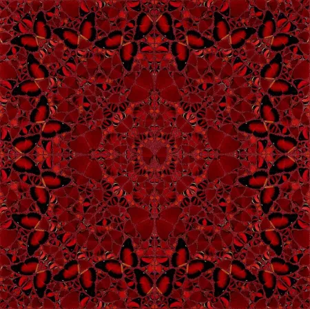 Sérigraphie Hirst - H10-2 Nūr Jahān