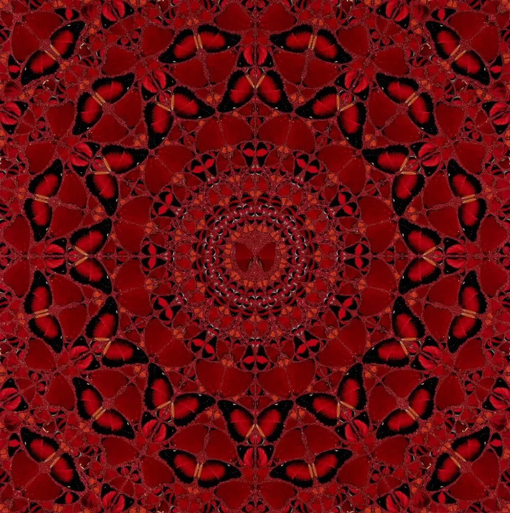 Sérigraphie Hirst - H10-4 Suiko