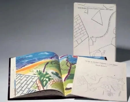 Livre Illustré Hockney - La Isla de Martha Vineyard y otros lugares