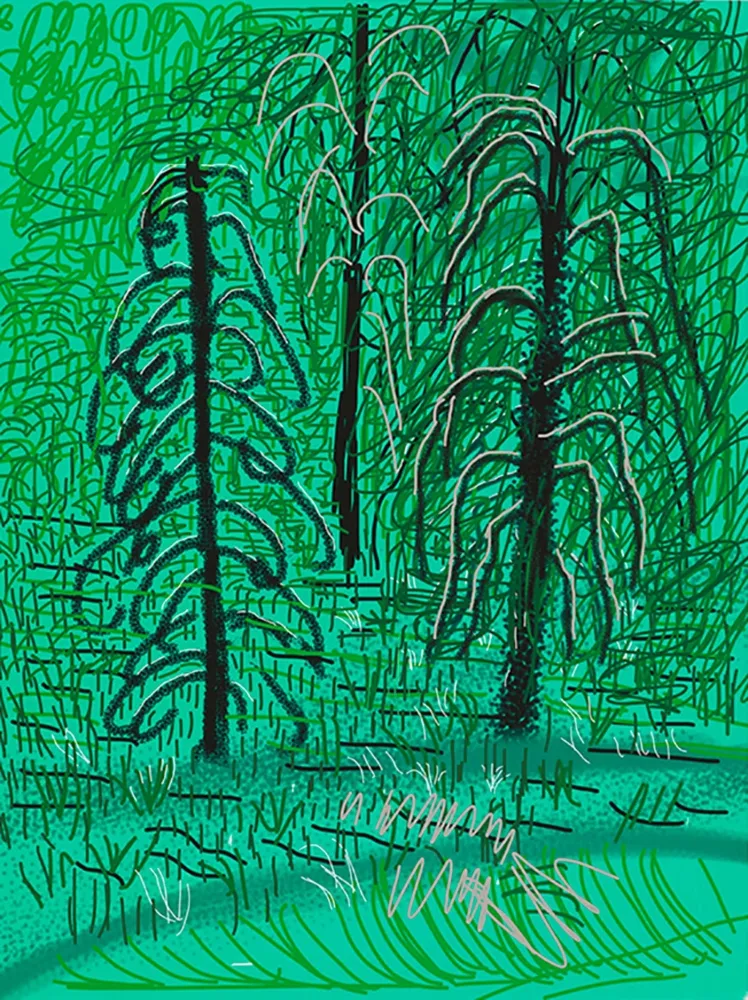 Estampe Numérique Hockney - Yosemite No.16