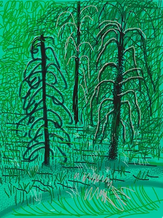 Estampe Numérique Hockney - Yosemite No.16