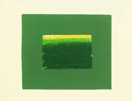 Sérigraphie Hodgkin - Indian Views - Plate K