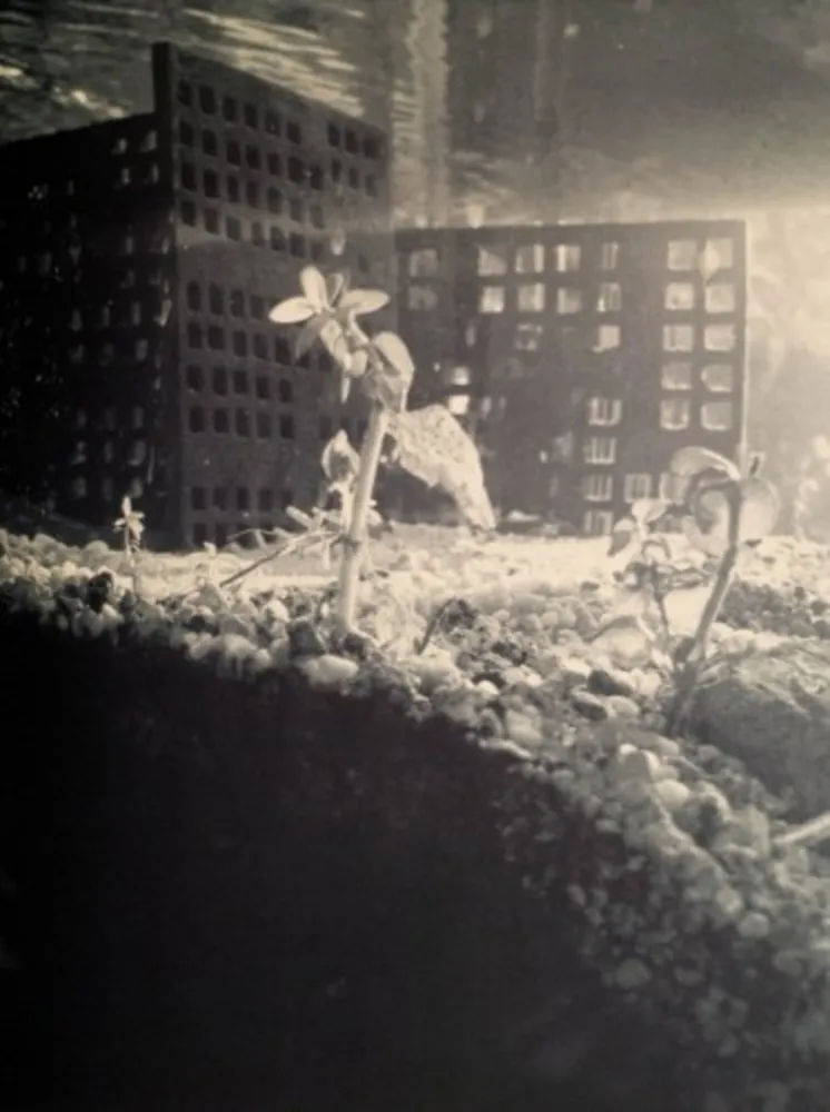 Photographie Iglesias - Aquarium II, 1